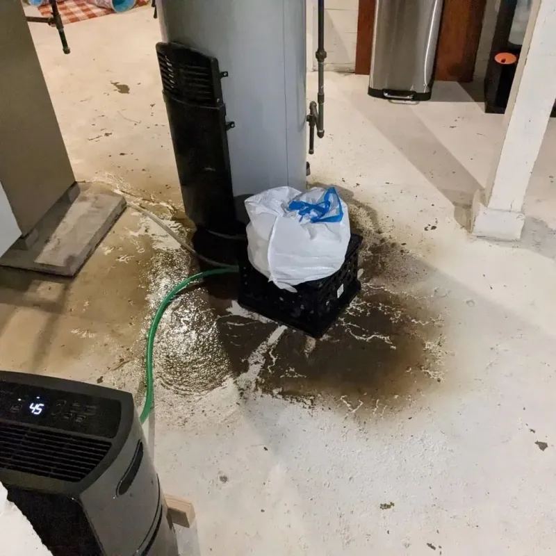 Sewage Backup Cleanup Service in Cleburne County, AL
